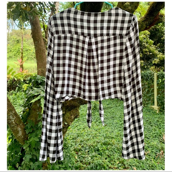 🌺[5/$40] Wild Fable Gingham Crop Tie Top! 🤍 - Picture 4 of 4